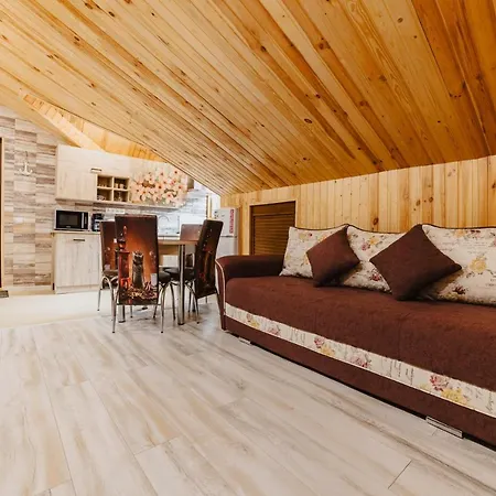 Noua Oasis With Parking * 布拉索夫