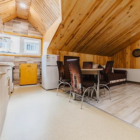 公寓 Noua Oasis With Parking 布拉索夫