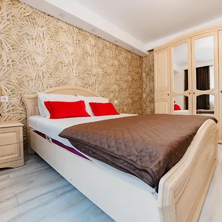 Noua Oasis With Parking 布拉索夫