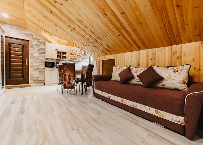 Noua Oasis With Parking * Brasov