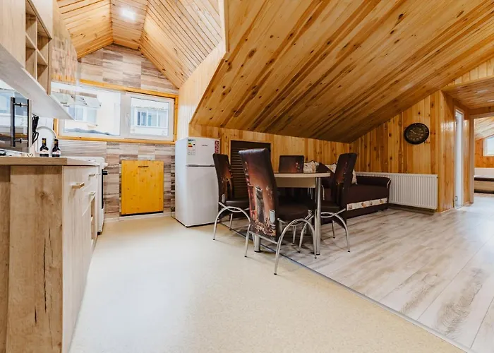 Apartment Noua Oasis With Parking Brasov